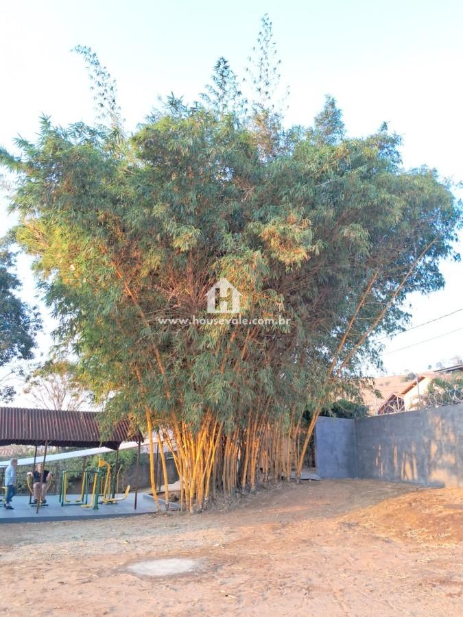 Chácara, 3 quartos, 2594 m² - Foto 5