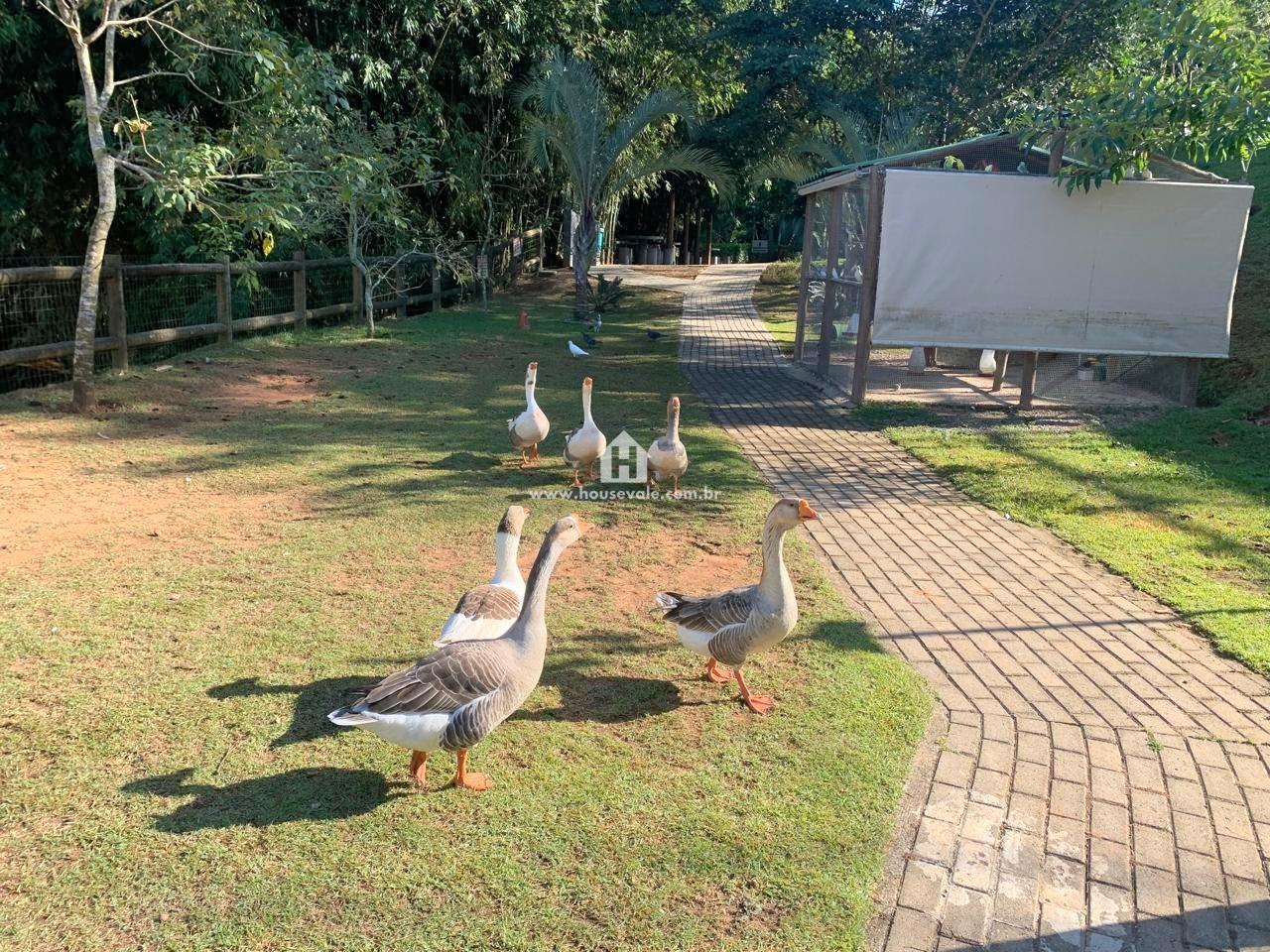 Casa de Condomínio, 3 quartos - Foto 17